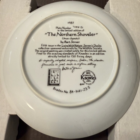 Vintage The northern Shoveler decorative Plate with Duck Family - Picture 2 of 4